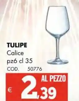 Altasfera TULIPE Calice offerta