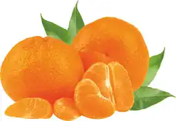 MD Discount CLEMENTINE offerta