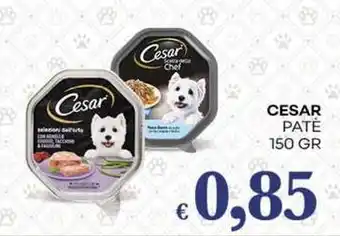 Pilato Cesar patè offerta