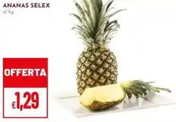 Pan Ananas SELEX offerta