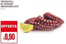 Pan Tentacoli di totano decongelato offerta