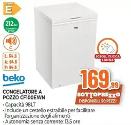 Expert beko CONGELATORE A POZZO CF100EWN offerta