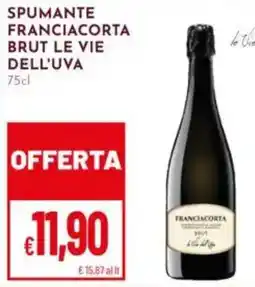 Pan Spumante franciacorta brut LE VIE DELL'UVA offerta