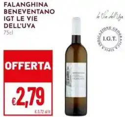 Pan Falanghina beneventano igt le vie dell'uva offerta