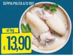 IperSisa Seppia pulita 8/12 dec. offerta