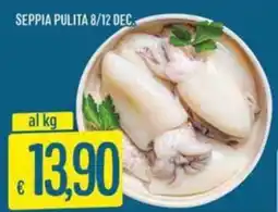 IperSisa Seppia pulita 8/12 dec. offerta