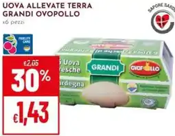 Pan Uova allevate terra grandi OVOPOLLO offerta