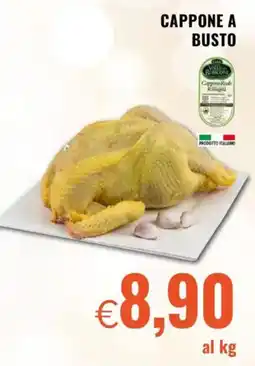 Famila Cappone a busto offerta