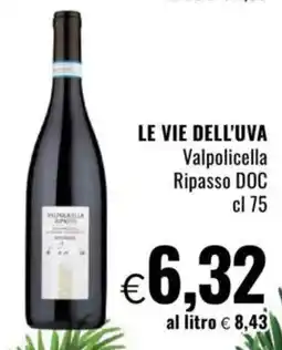 Famila LE VIE DELL'UVA Valpolicella Ripasso DOC offerta