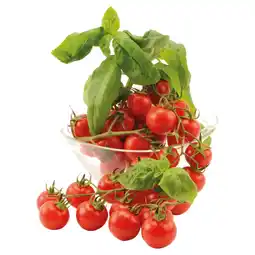 Ipercoop POMODORO CILIEGINO ORIGINE offerta