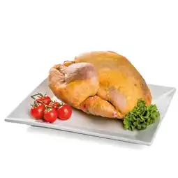 Ipercoop FARAONA A BUSTO FIOR FIORE offerta