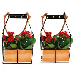 Ipercoop COMPOSIZIONE KALANCHOE offerta