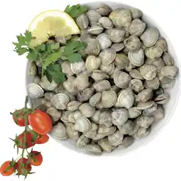 Coop VONGOLE LUPINO offerta