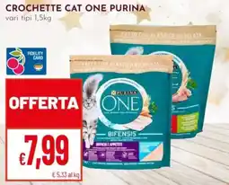 Pan Crochette cat one PURINA offerta