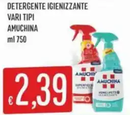 IperSisa Detergente igienizzante AMUCHINA offerta