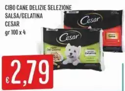 IperSisa Cibo cane delizie selezione salsa/gelatina CESAR offerta