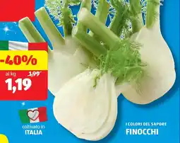 ALDI I colori del sapore finocchi offerta