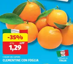 ALDI I colori del sapore clementine con foglia offerta