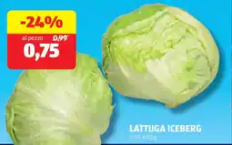 ALDI Lattuga iceberg offerta
