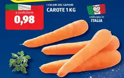 ALDI I colori del sapore carote offerta