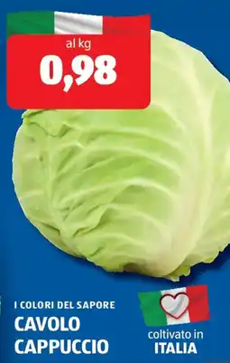 ALDI I colori del sapore cavolo cappuccio offerta