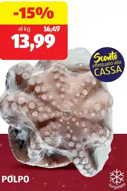 ALDI Polpo offerta
