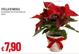 IperFamila Stella di natale offerta