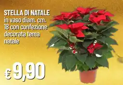 IperFamila Stella di natale offerta