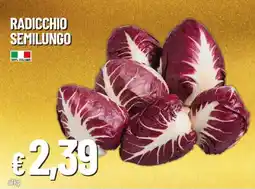 IperFamila Radicchio semilungo offerta