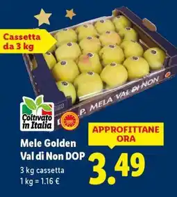 Lidl Mele Golden Val di Non DOP offerta