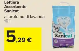 Carrefour Lettiera Assorbente Sanicat offerta