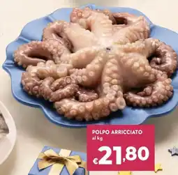 Bennet Polpo arricciato offerta