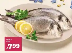 Bennet Orata offerta