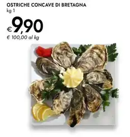 Bennet Ostriche concave di bretagna offerta