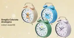 Carrefour Sveglia Colorata Analogica offerta