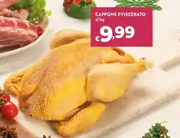 Bennet Cappone eviscerato offerta