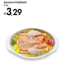 Bennet Gallina eviscerata offerta