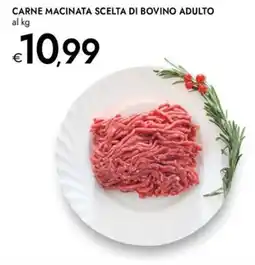 Bennet Carne macinata scelta di bovino adulto offerta