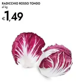 Bennet Radicchio rosso tondo offerta