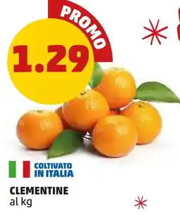 PENNY Clementine offerta