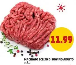 PENNY Macinato scelto di bovino adulto offerta