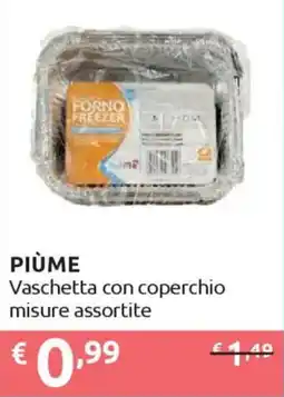 Ipersoap PIÙME Vaschetta con coperchio offerta