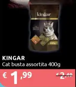 Ipersoap KINGAR Cat busta offerta