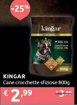 Ipersoap KINGAR Cane crocchette sfiziose offerta
