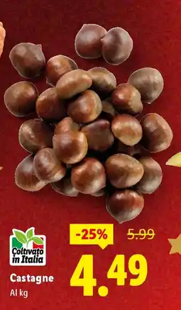Lidl Castagne offerta