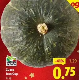 Lidl Zucca Iron Cup offerta