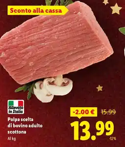 Lidl Polpa scelta di bovino adulto offerta