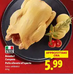 Lidl Amadori Campese Pollo allevato all'aperto offerta