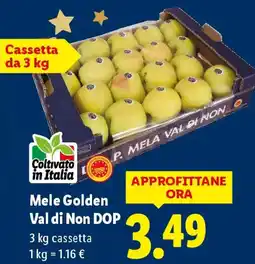 Lidl Mele Golden Val di Non DOP offerta