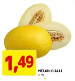DPiù Meloni gialli offerta